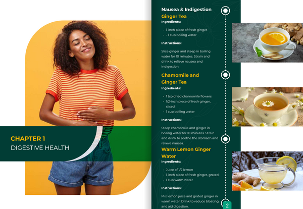 Natural Healing Guidebook